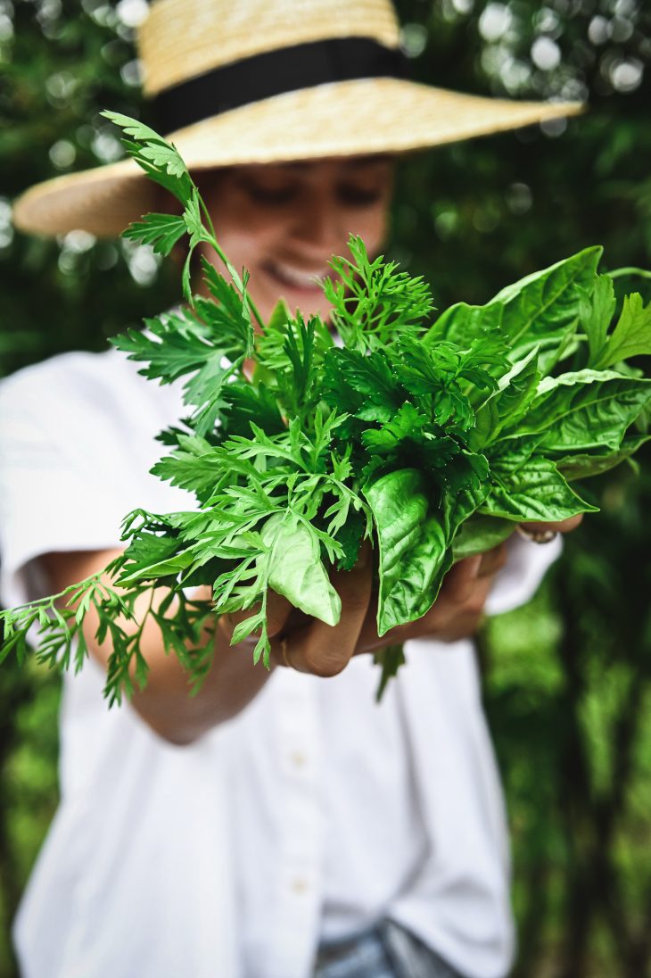 A lady in the garden holding a fresh bundle of basil