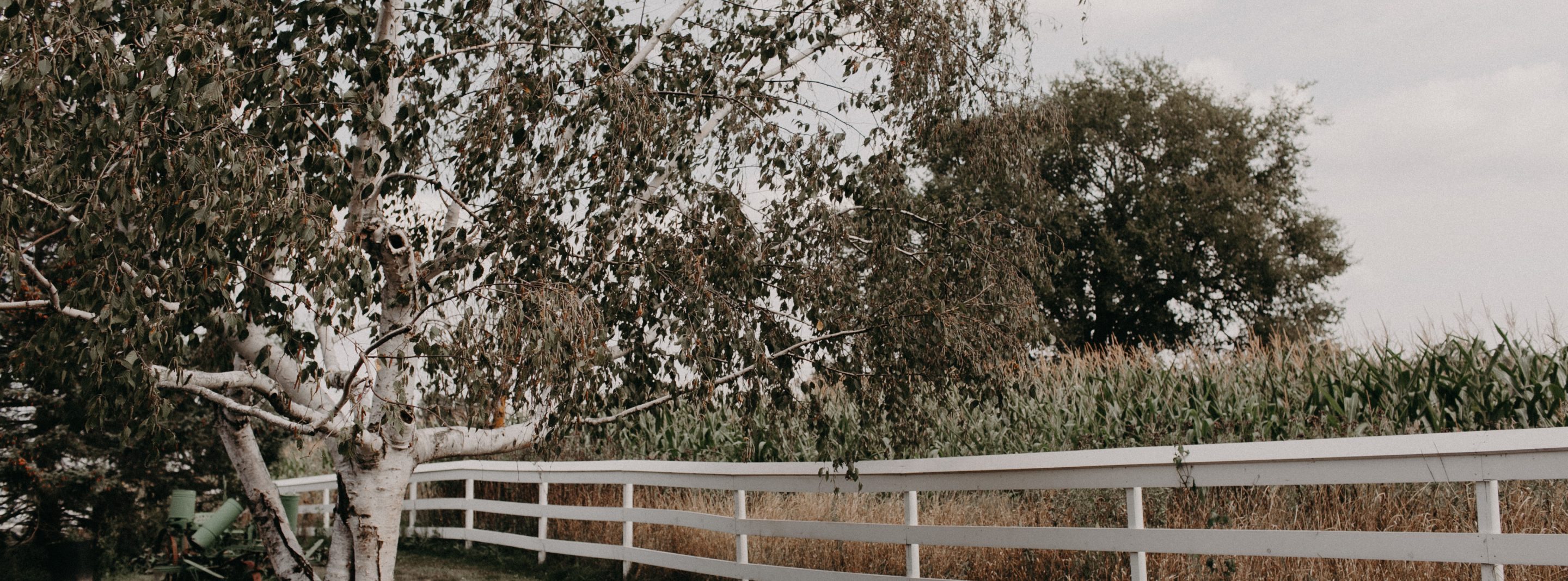 Wedding ceremony at red barn