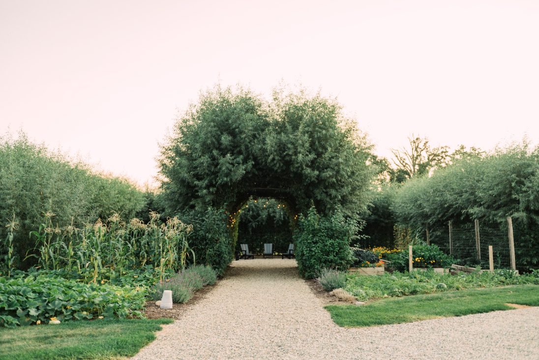 Image of Cornman Farms garden in bloom